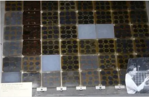 湖北威廉希尔williamhill绿色能源有限公司