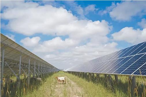 最新证据：：：光伏电站使用寿命远超25年！！！