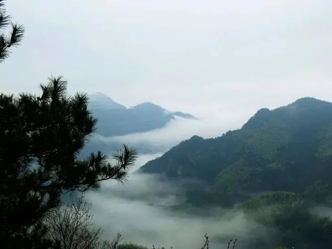 湖北威廉希尔williamhill绿色能源有限公司