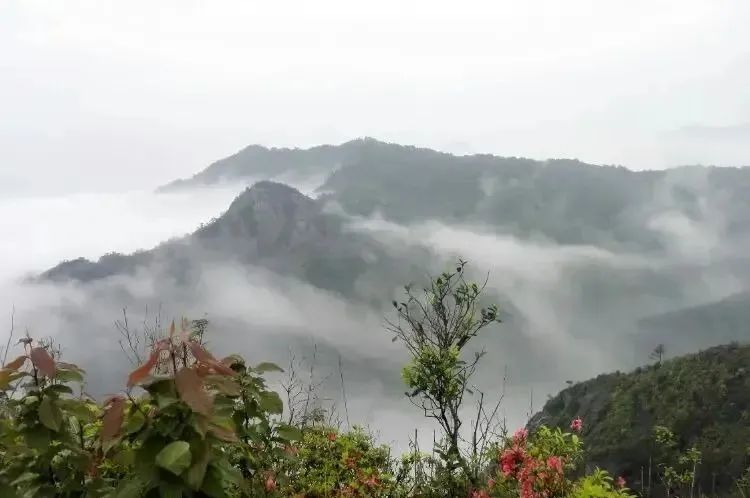 湖北威廉希尔williamhill绿色能源有限公司